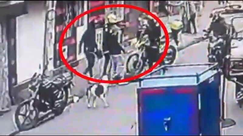 Policía habría disparado a perro de ‘raza peligrosa’ en el norte de Bogotá después de que intentó morderlo