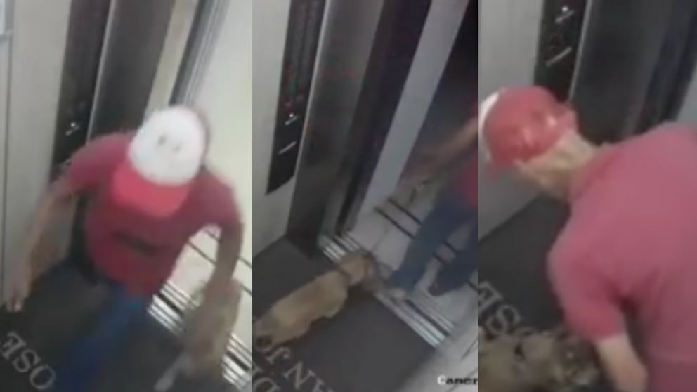 Paseador canino en Barranquilla maltrata a perrito y quedó captado en video