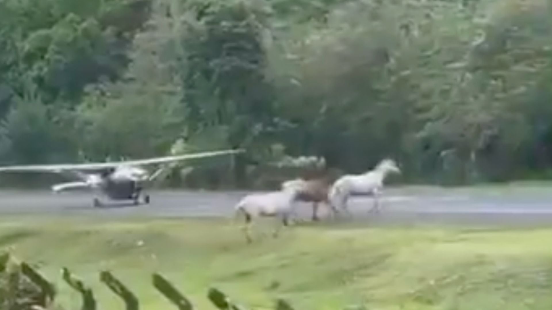 Archivo: Redes sociales