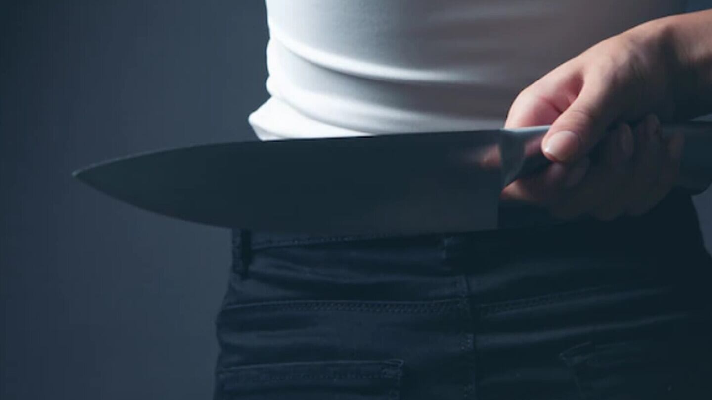 Imagen de referencia.