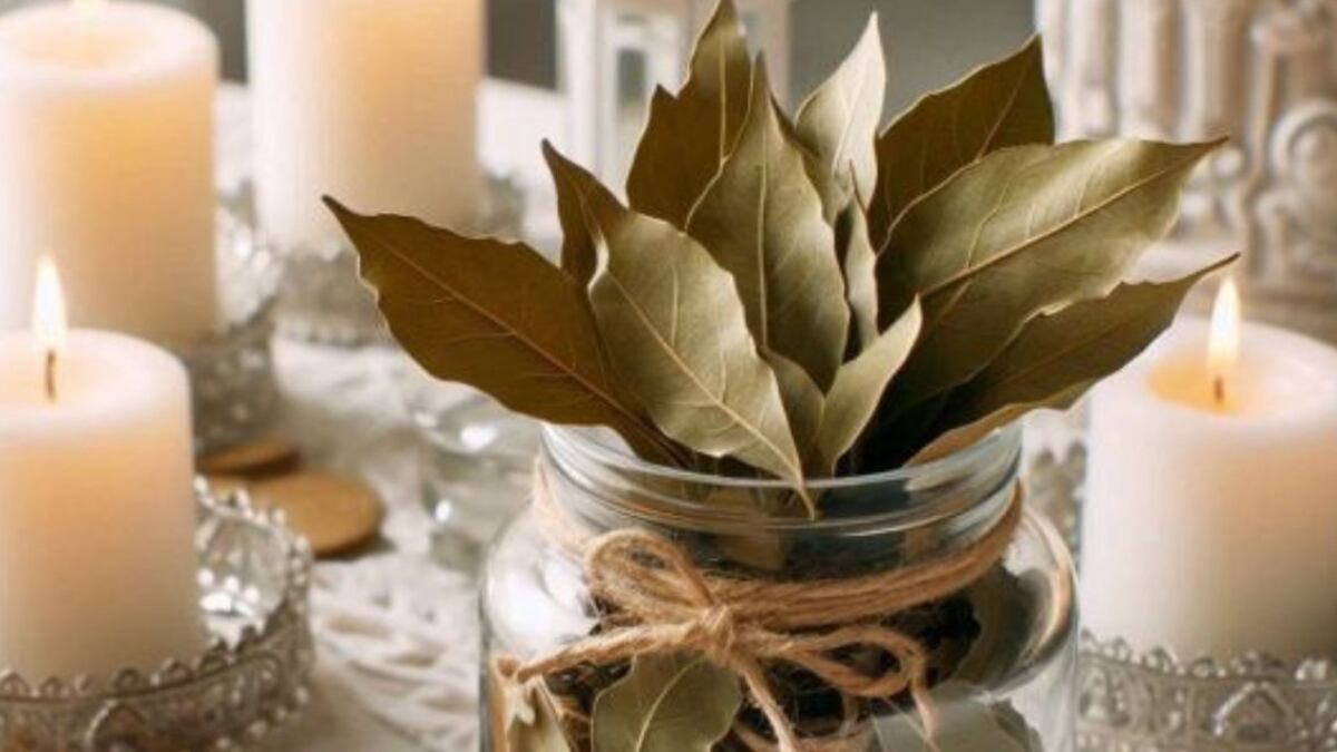 Feng Shui. el poderoso ritual con agua y laurel para atraer el dinero y la abundancia en 2025