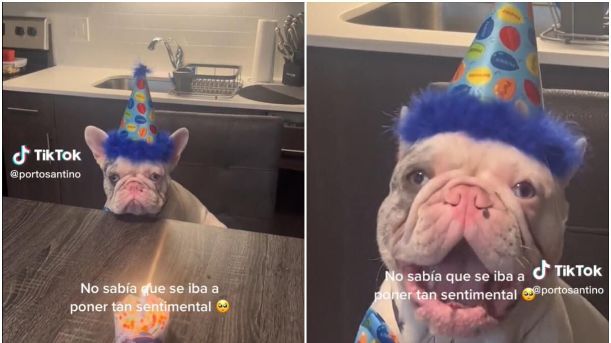 La mascota estaba visiblemente muy emocionada