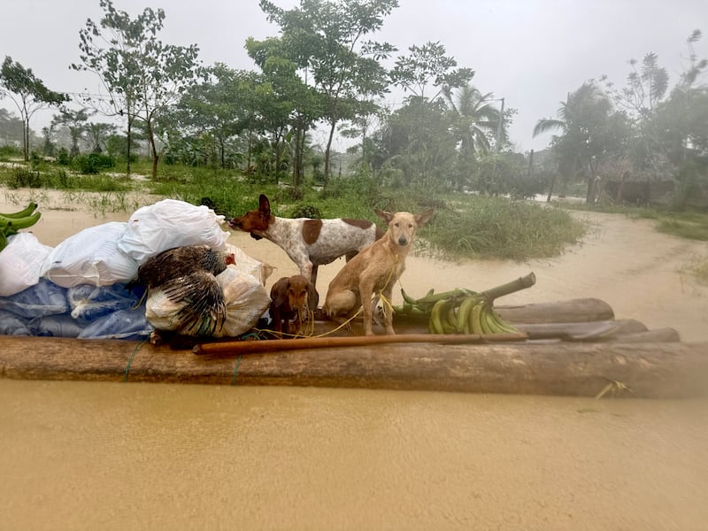Necoclí bajo el agua