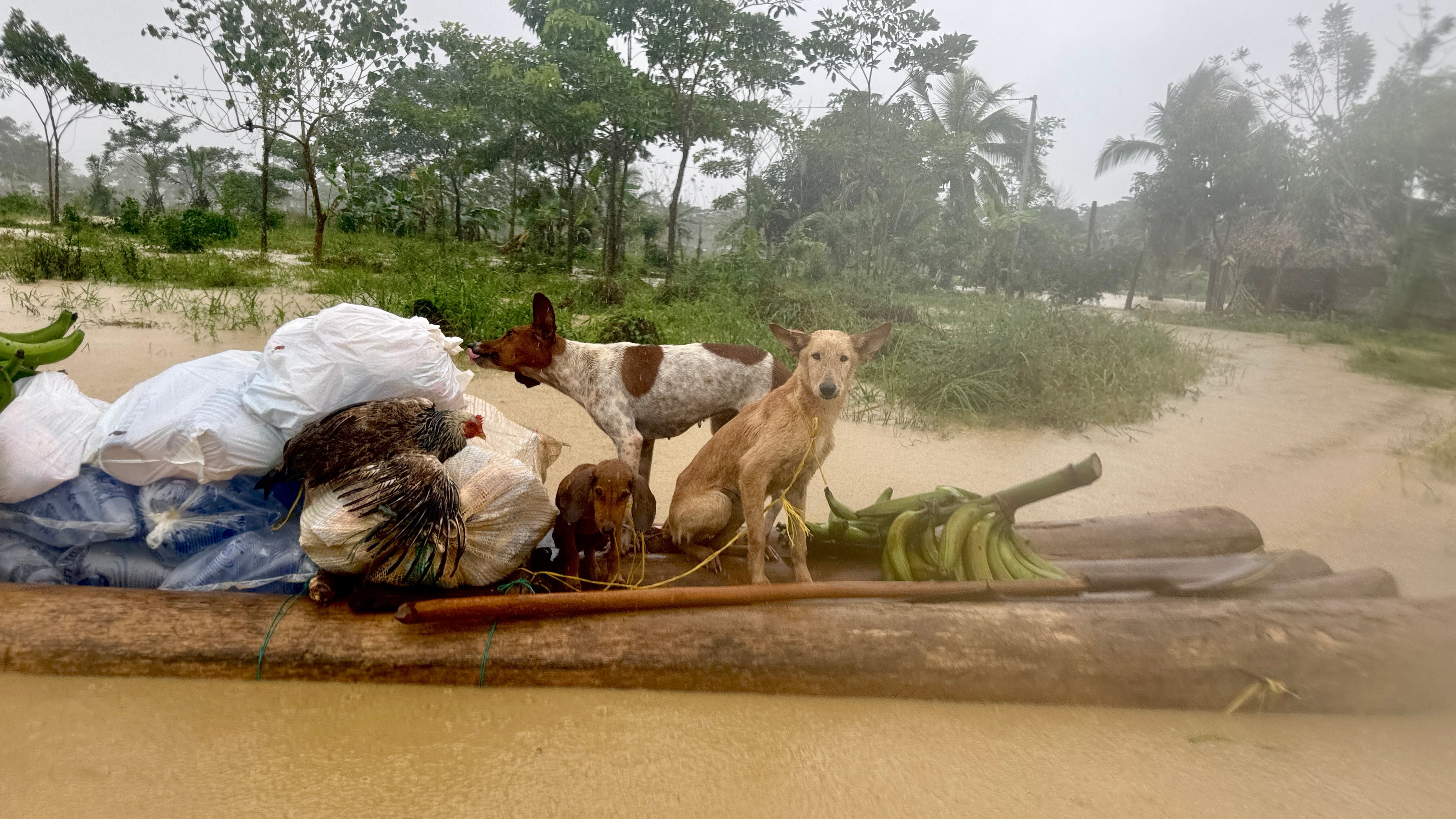 Necoclí bajo el agua