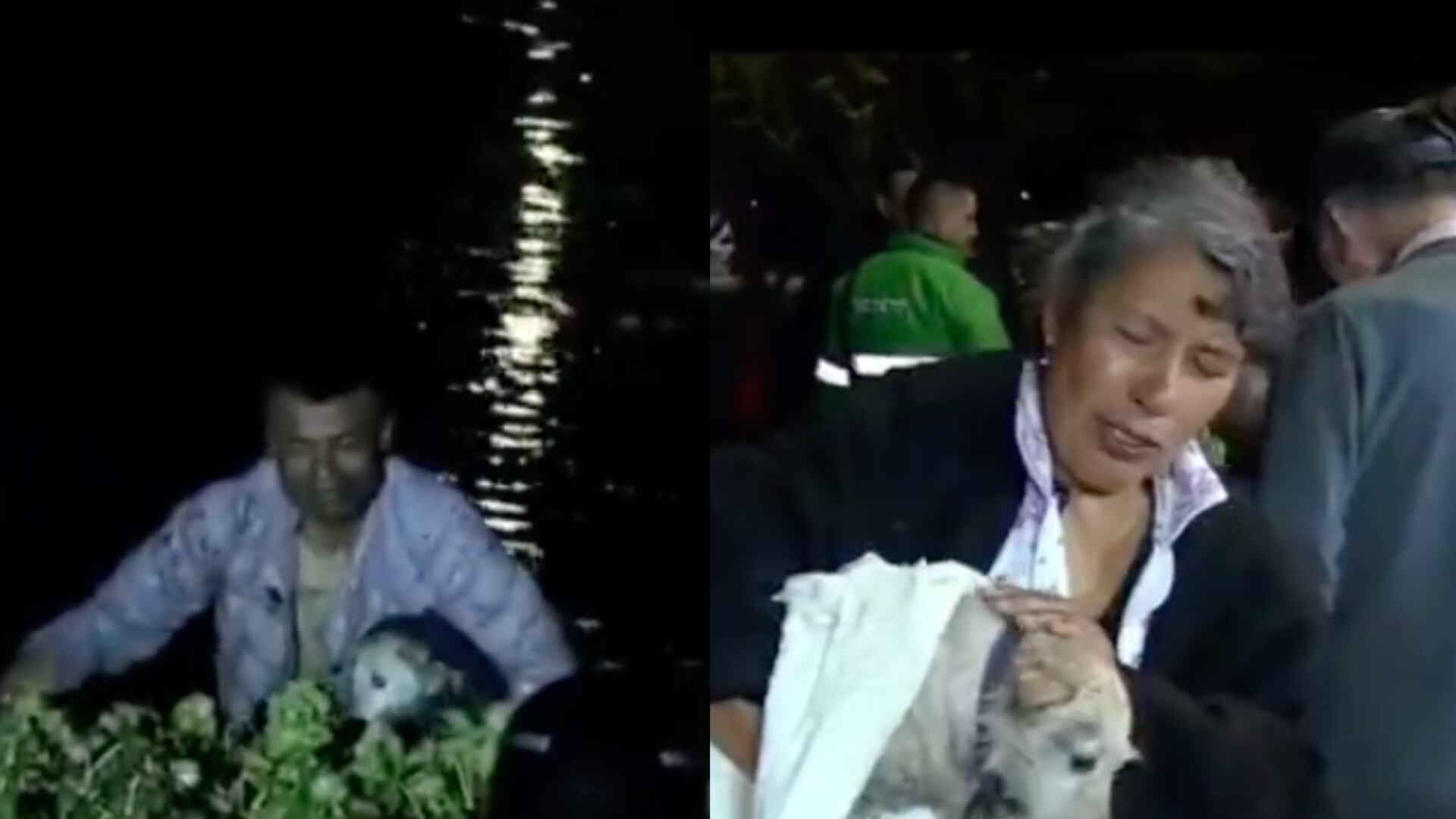 Bomberos no llegaron y un reciclador fue el héroe: así fue el rescate de perrita en humedal cuando huyó tras sismo