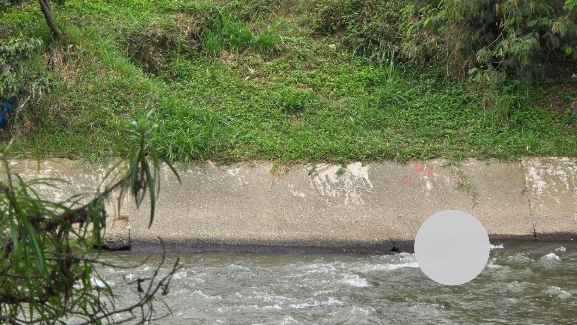 Muertos en el río Medellín