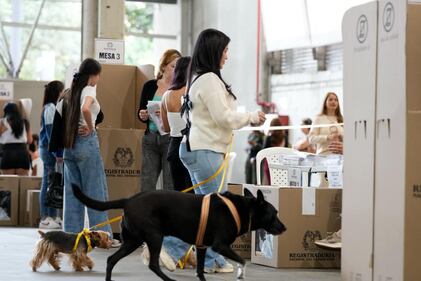 Imágenes de la jornada electoral en Antioquia: ciudadanos votando, jurados de mesa, puestos de votación y el conteo de votos al cierre de las urnas.