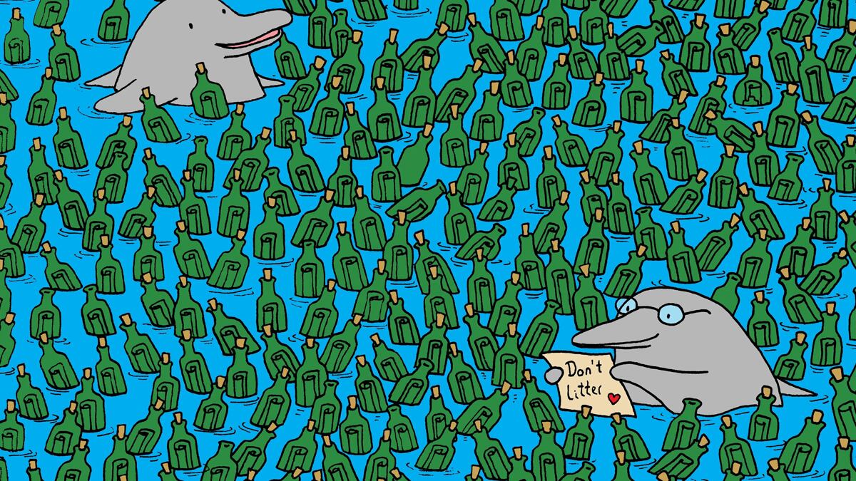 Reto visual con delfines y botellas