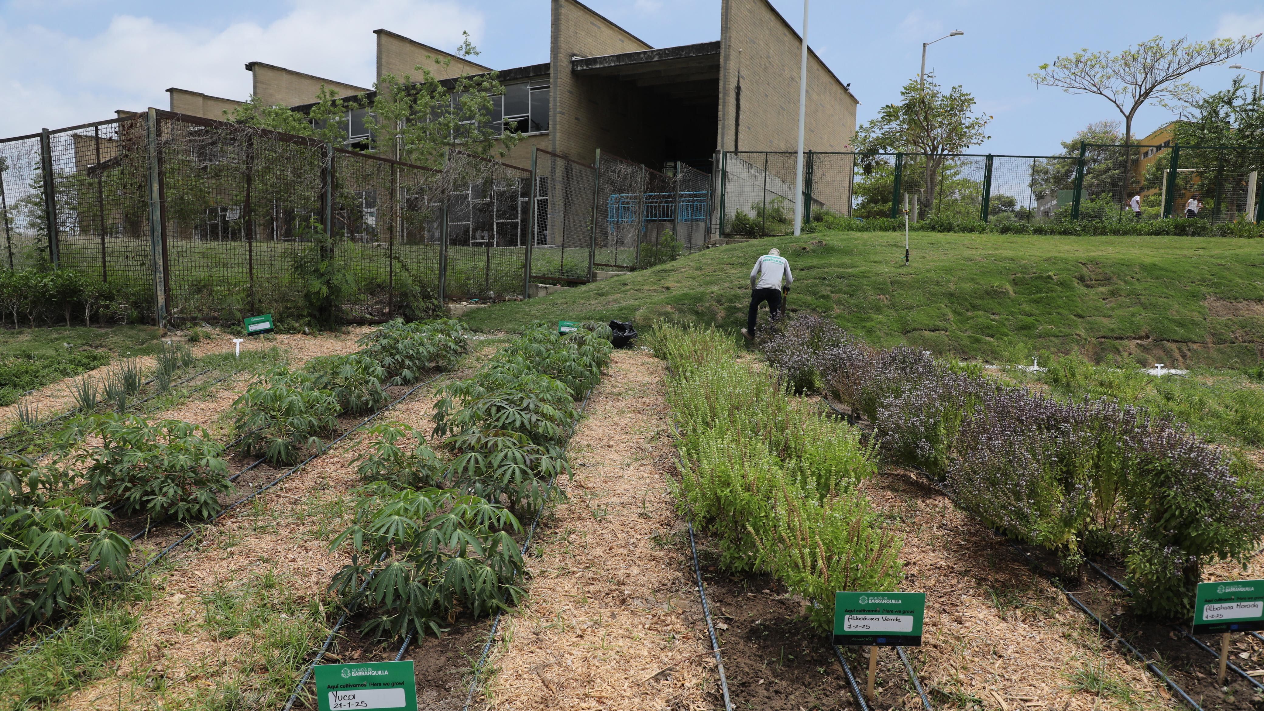 Foto de la huerta comunitaria Lipaya.