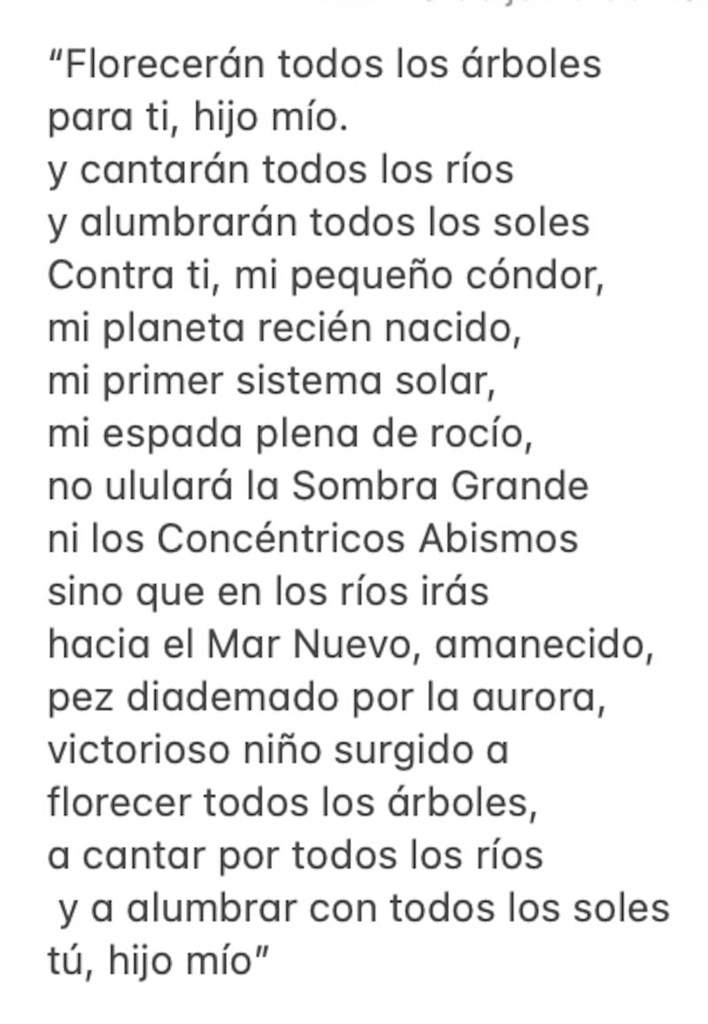 Poema de Manuel Cepeda a su hijo, Iván Cepeda Castro