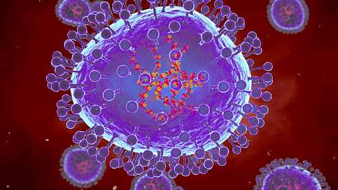 ¿Metapneumovirus forma parte de las profesías de Nostradamus?