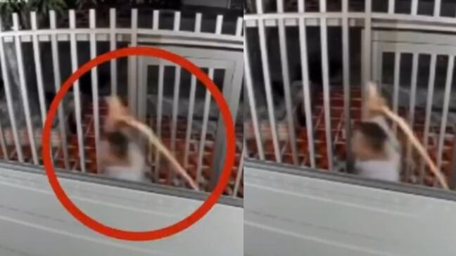 Foto propietario sorprende a ladrón robando espejos de su vehículo y lo enfrenta a golpes en Barranquilla.