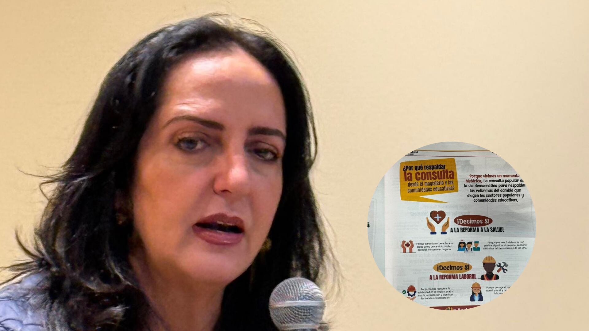 Cartilla de Fecode para niños de colegio de Bogotá