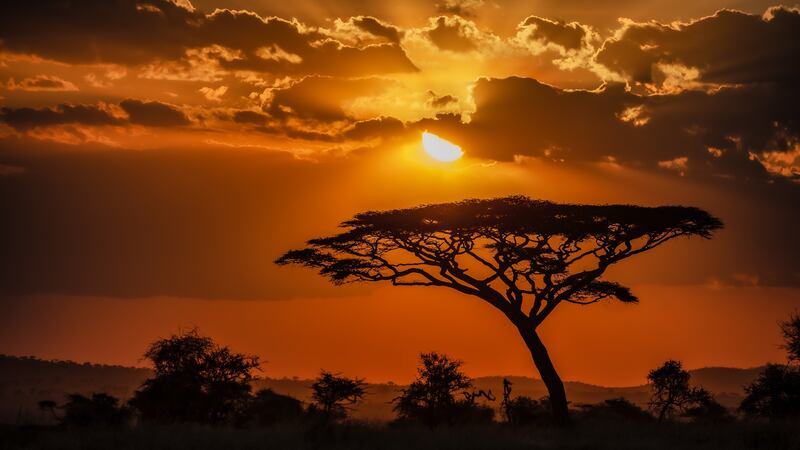 Pon a prueba tus conocimientos sobre África con este quiz