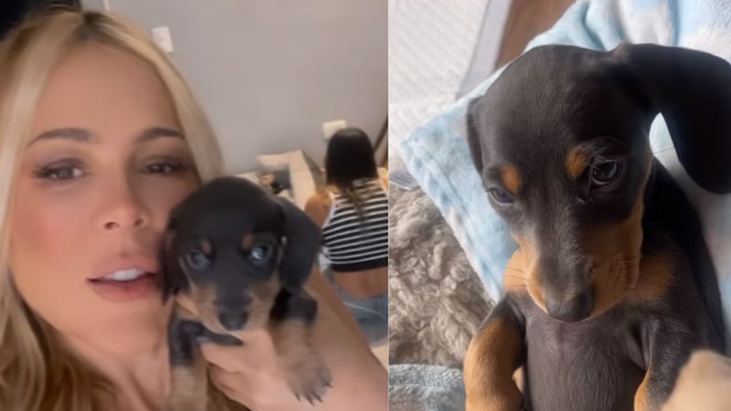 ¿Se muda de casa? Natalia París decidió conservar a los hijos de sus perritos