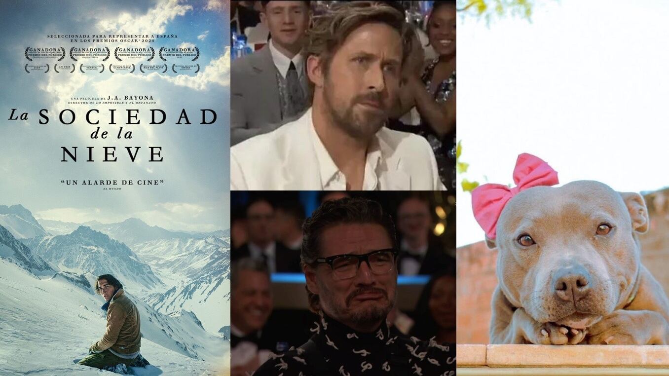 Con 'La Sociedad de la Nieve' todos se volvieron expertos e hicieron hilos de la historia y también se pusieron sus lazos ‘Coquette’ en las redes sociales.