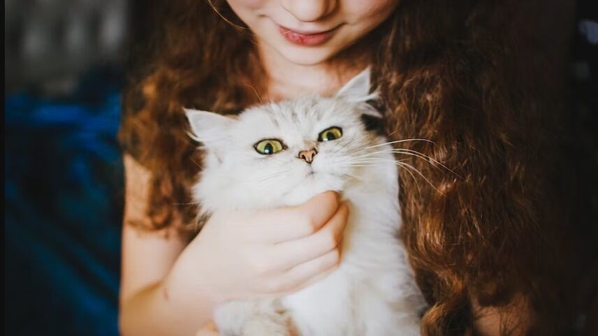 Los gatos tienen una personalidad única