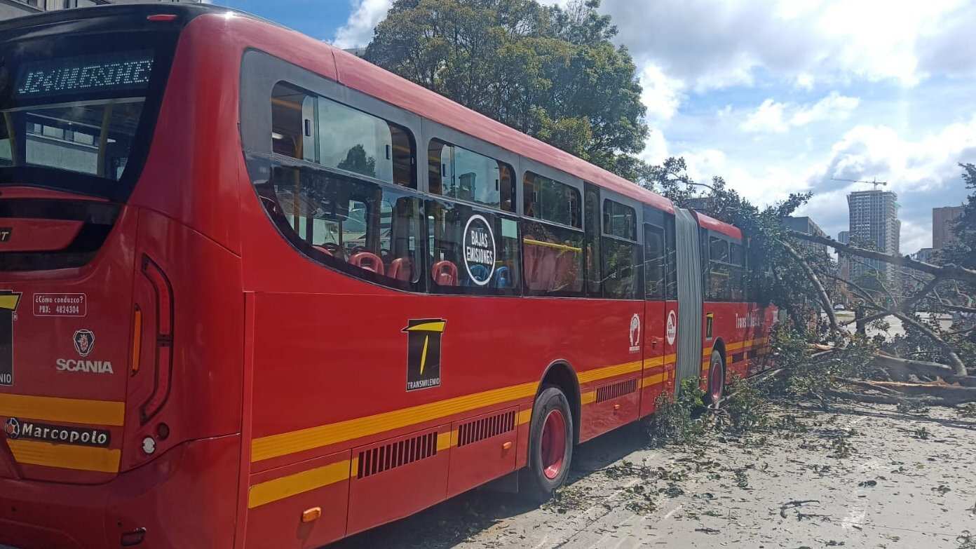Un árbol cayó sobre un bus articulado de TransMilenio en la Av. Caracas con Calle 45, sentido norte - sur.