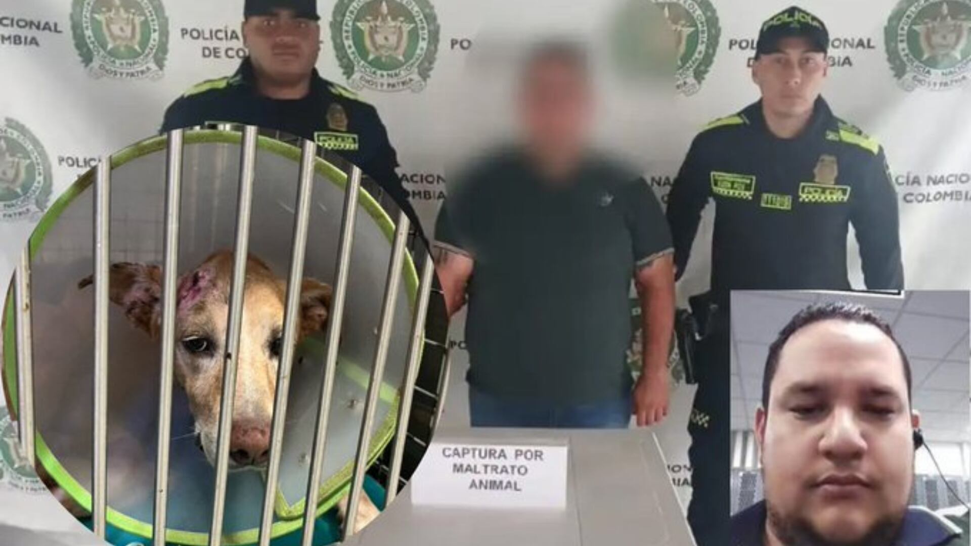 Intentó quitarle la vida a su mascota con varios tiros en la cabeza: la Policía lo capturó