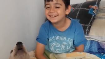 perrito canta el cumpleaños pantallazo tomado de tiktok