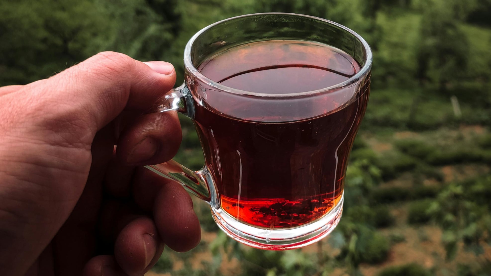 Té