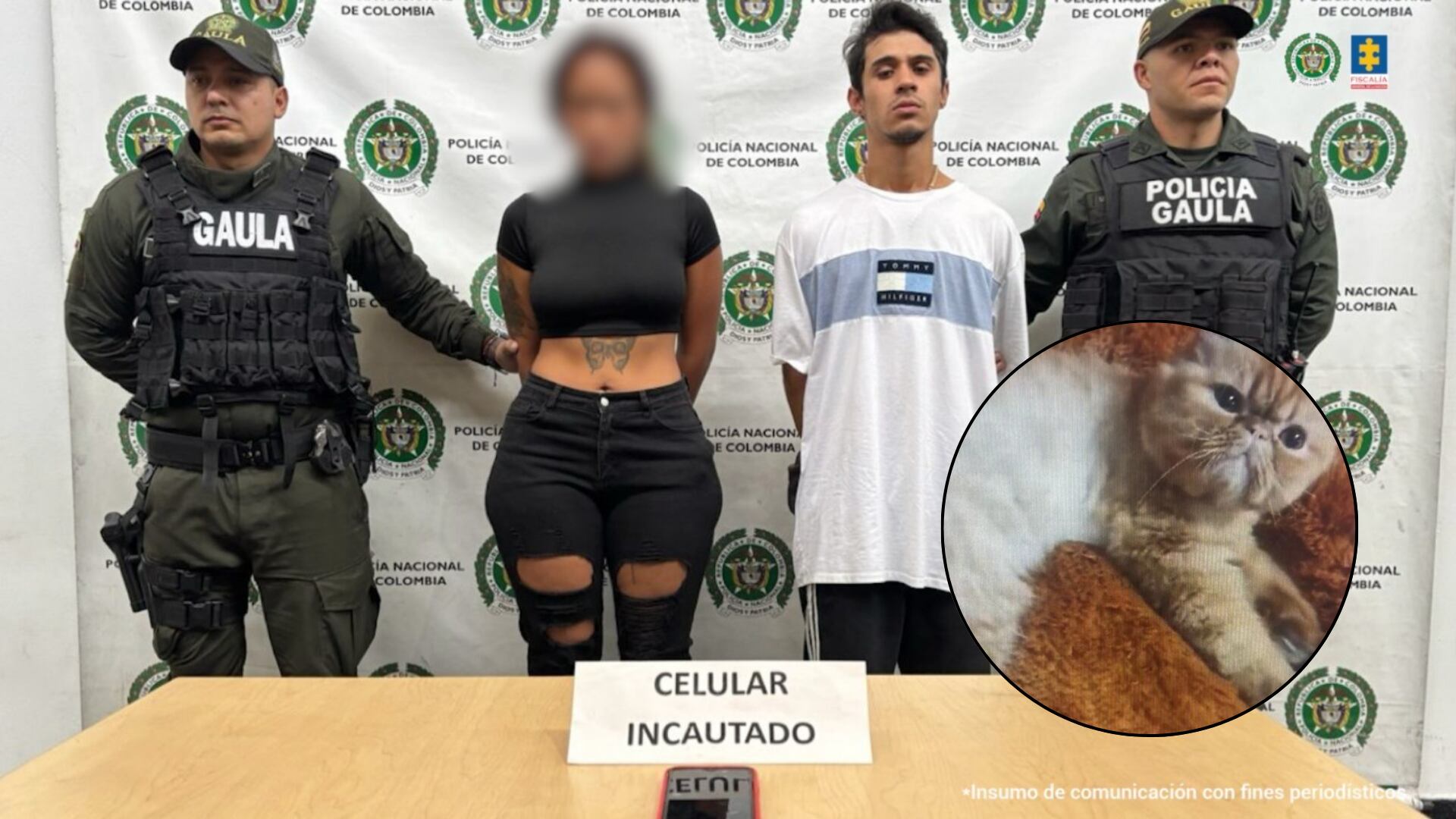 Capturados por secuestrar un gato en Medellín