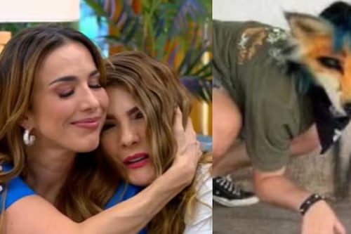 “Yo no puedo creer”: Expresentadora de RCN aclaró la verdad tras acusaciones de que sus hijos son Therian