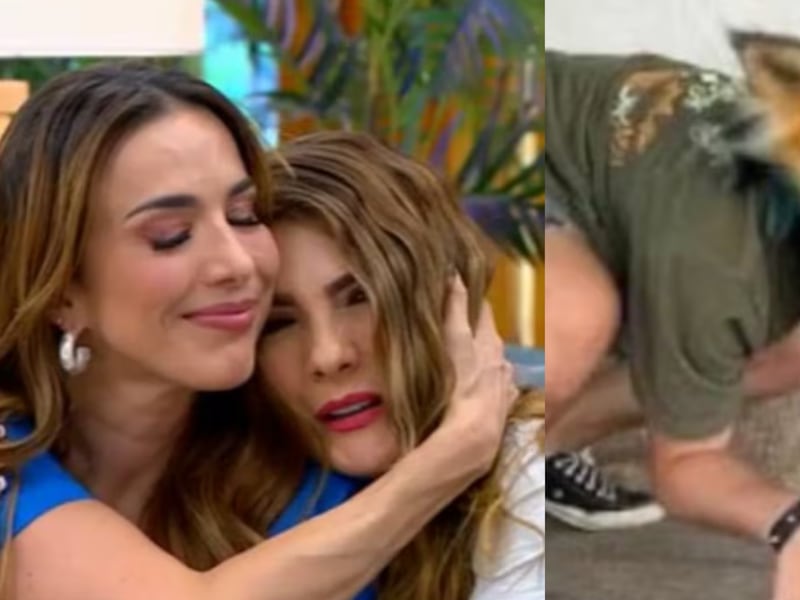 Querida presentadora de RCN reveló que sus hijos son Therians; “para mí como mamá no es fácil”