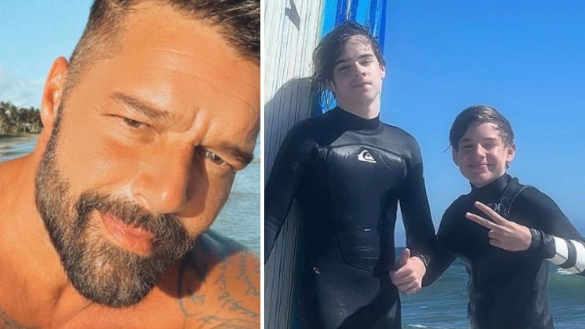 En 2008, Ricky Martin sorprendió a todos sus fans al anunciar el nacimiento de sus mellizos, Matteo y Valentino
