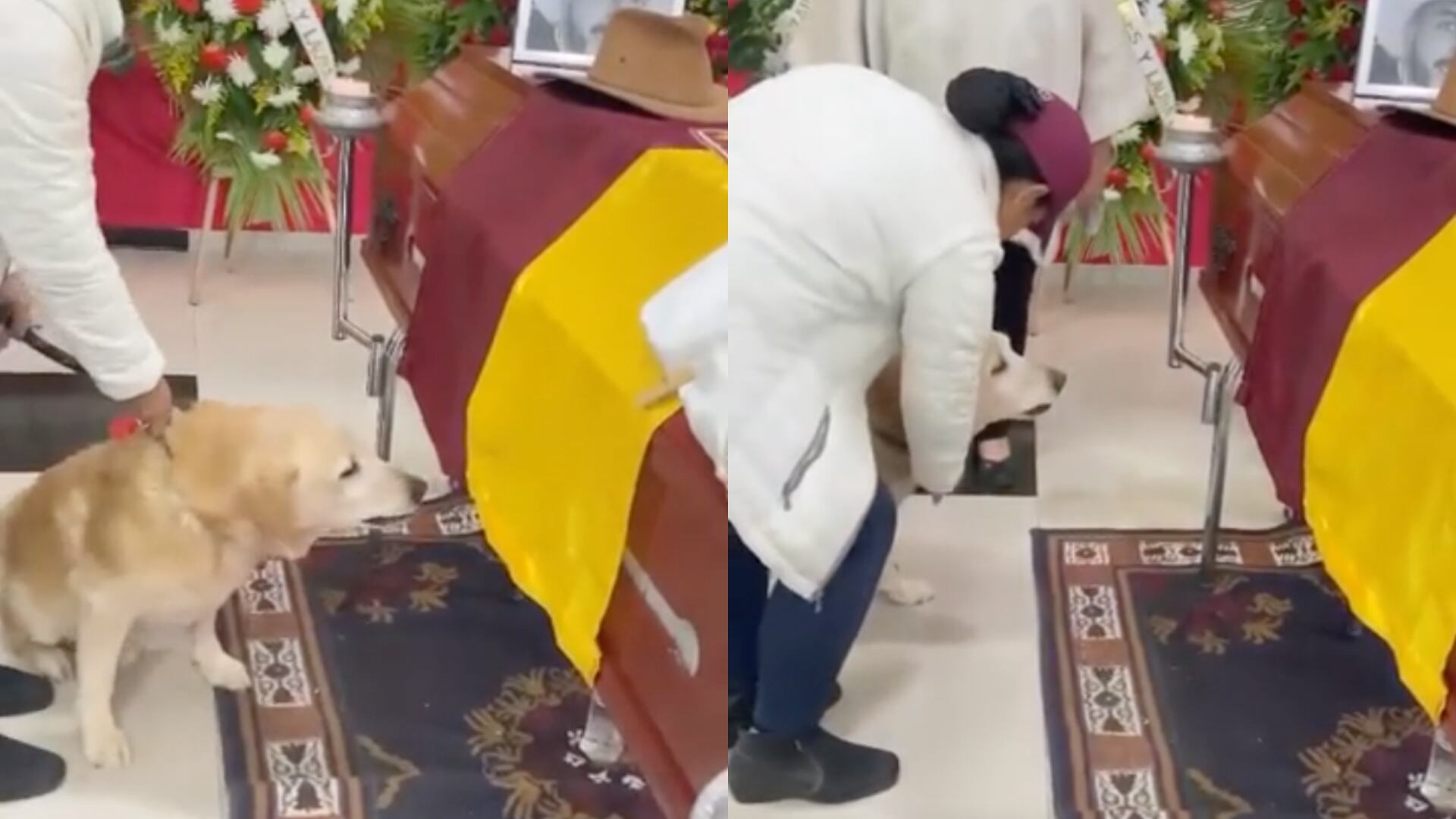 Perrito se despidió de su amo - Fotos: Capturas de pantalla de redes sociales