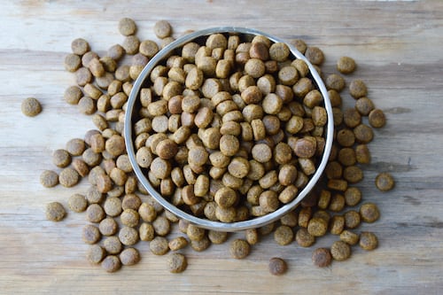 ¿Por qué tu perro o gato tiene gases?Estos son los 5 alimentos más difíciles de digerir