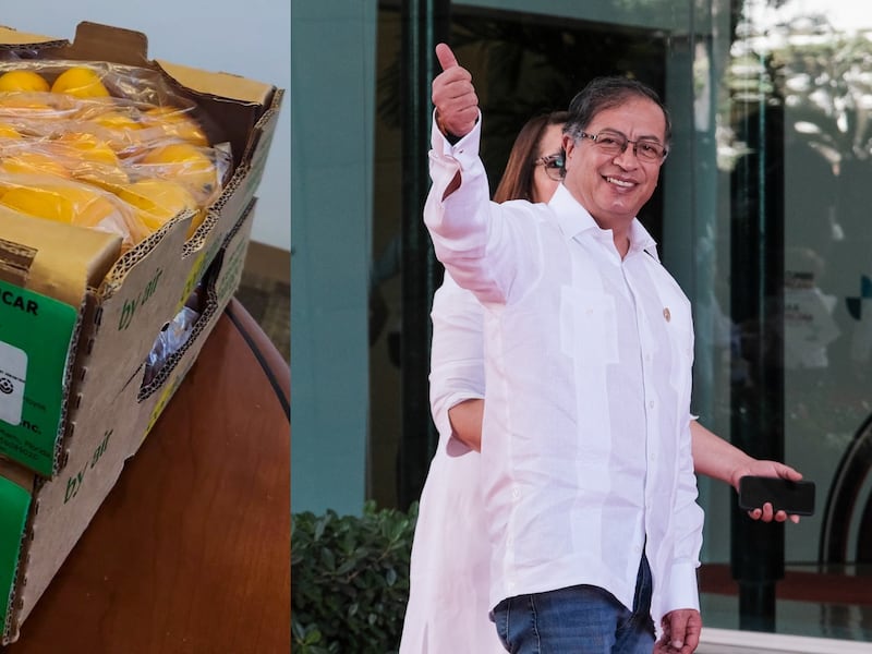 De Colombia para el mundo: Petro celebra primera vez que se exporta mango a Estados Unidos