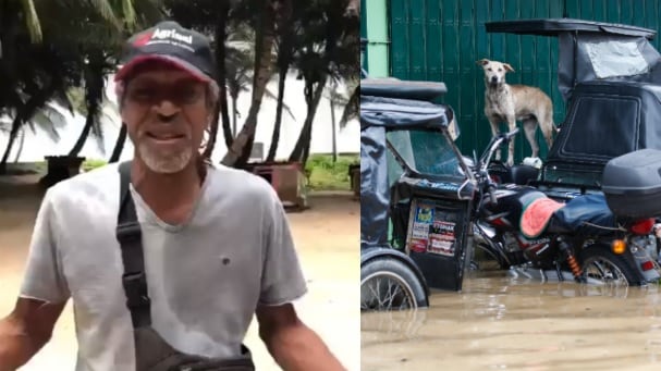 Organización animalista pide guacales para proteger a los perros del paso del huracán en San Andrés.