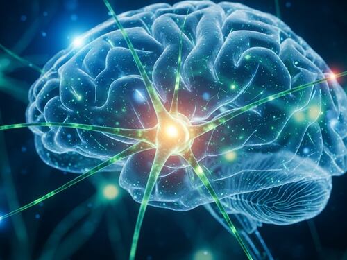 ¿Por qué recordamos olores de la infancia, pero olvidamos dónde dejamos las llaves?