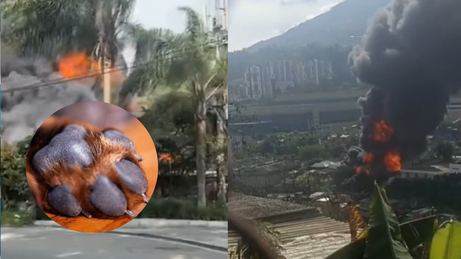 Incendio en La Estrella