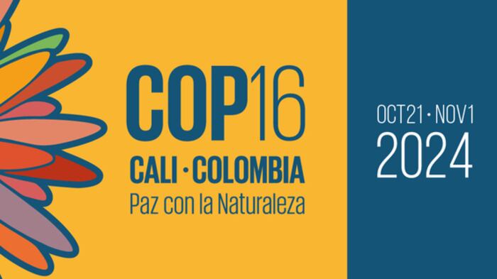 Esta es la primera vez que un evento de estas magnitudes llega a Colombia.