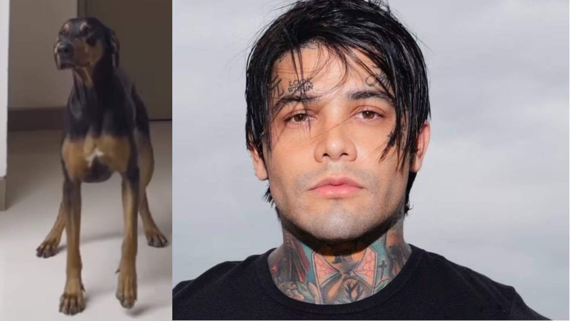 Yeferson Cossio y su perro de raza Dóberman