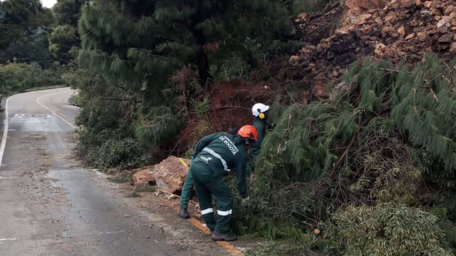 Captura de pantalla 30 de noviembre de 2022