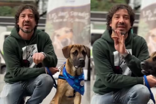 Director del IDPYBA de la Alcaldía de Bogotá, no bajó de ‘HP’ a los que tiran pólvora en diciembre