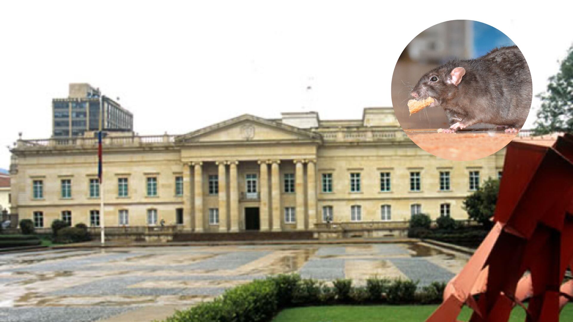 Presidencia busca a quien contratar para fumigar y evitar ratas en la Casa de Nariño