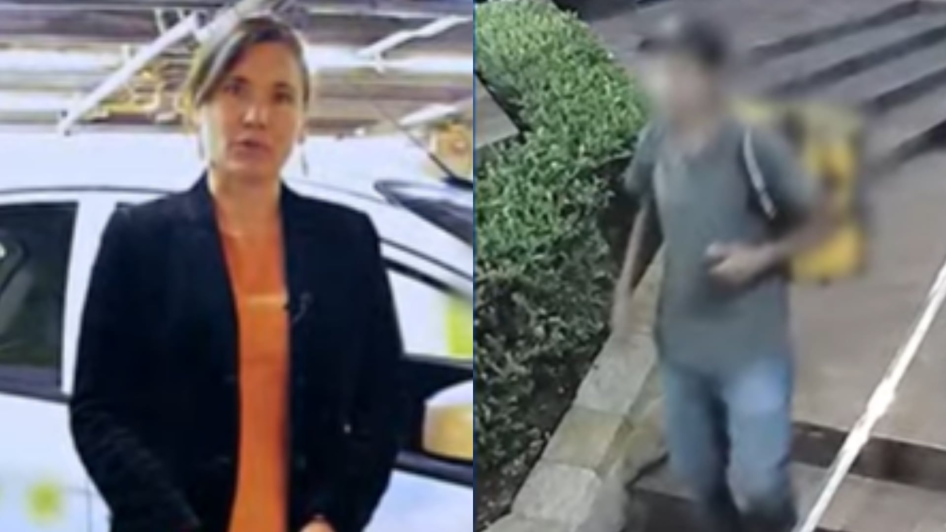 Frambuesas envenenadas