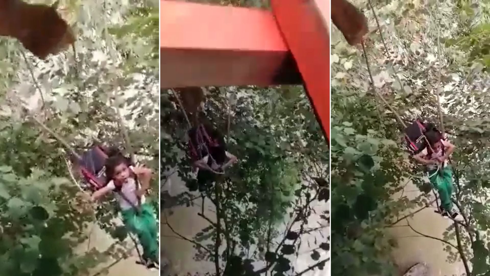 Tw: Informativo digital