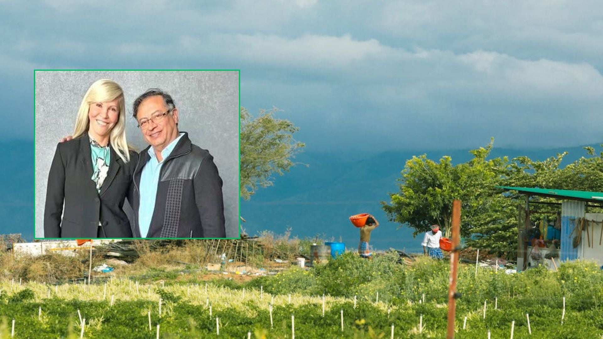 Archivo: Redes y Pexels