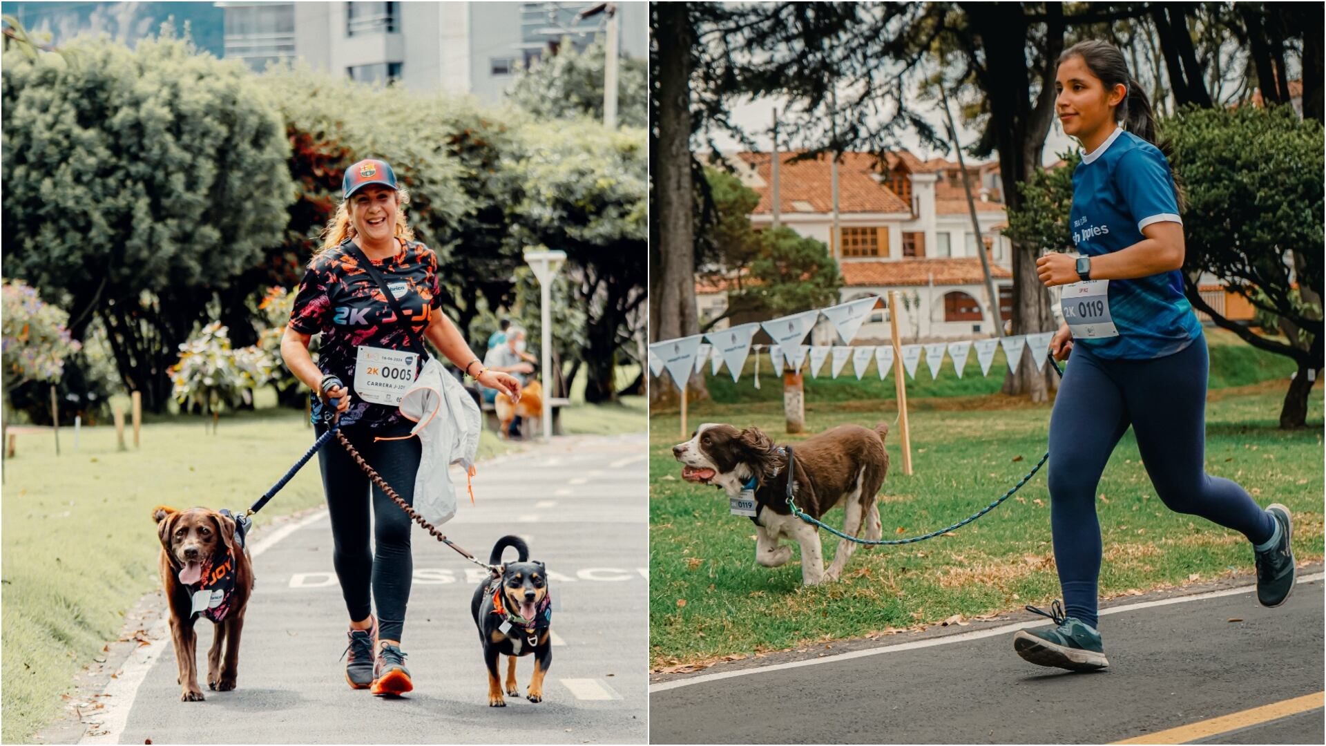 Primera carrera recreativa de Navidad para mascotas en Bogotá: conozca las fechas y los detalles (Foto: cortesía)