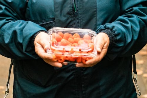 La frescura sí tiene rostro: homenaje a trabajadoras del sector de berries