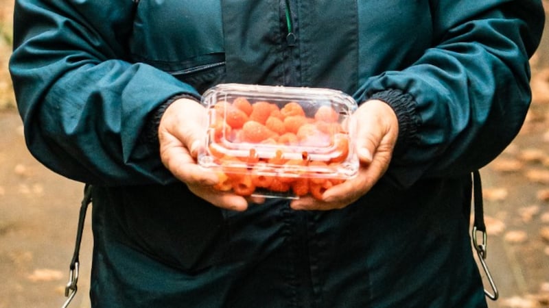 La frescura sí tiene rostro: homenaje a trabajadoras del sector de berries