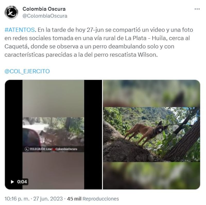 Wilson: al parecer un ciudadano en Huila lo habría visto deambulando