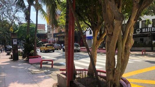 Con un festival gastronómico y de música buscarán revivir la avenida sexta de Cali