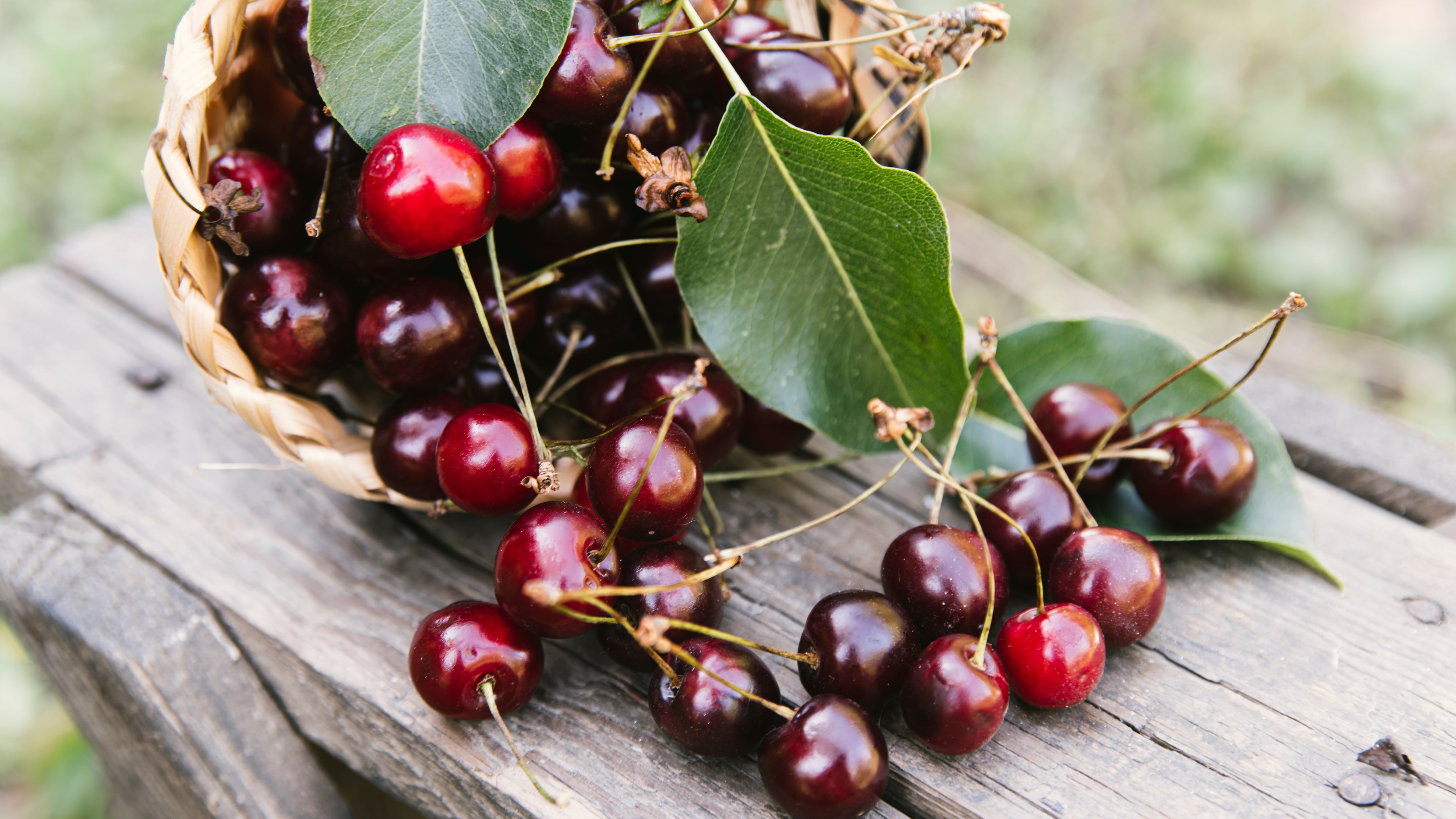 Según la nutrióloga Alejandra Toledo, las cerezas son consideradas un superalimento porque tienen bajo índice glucémico, por lo que son ideales para personas con diabetes o resistencia a la insulina. Foto: Freepik.