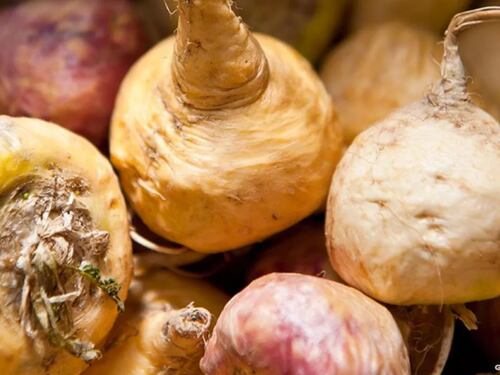 La maca peruana, un alimento con propiedades que le sorprenderán